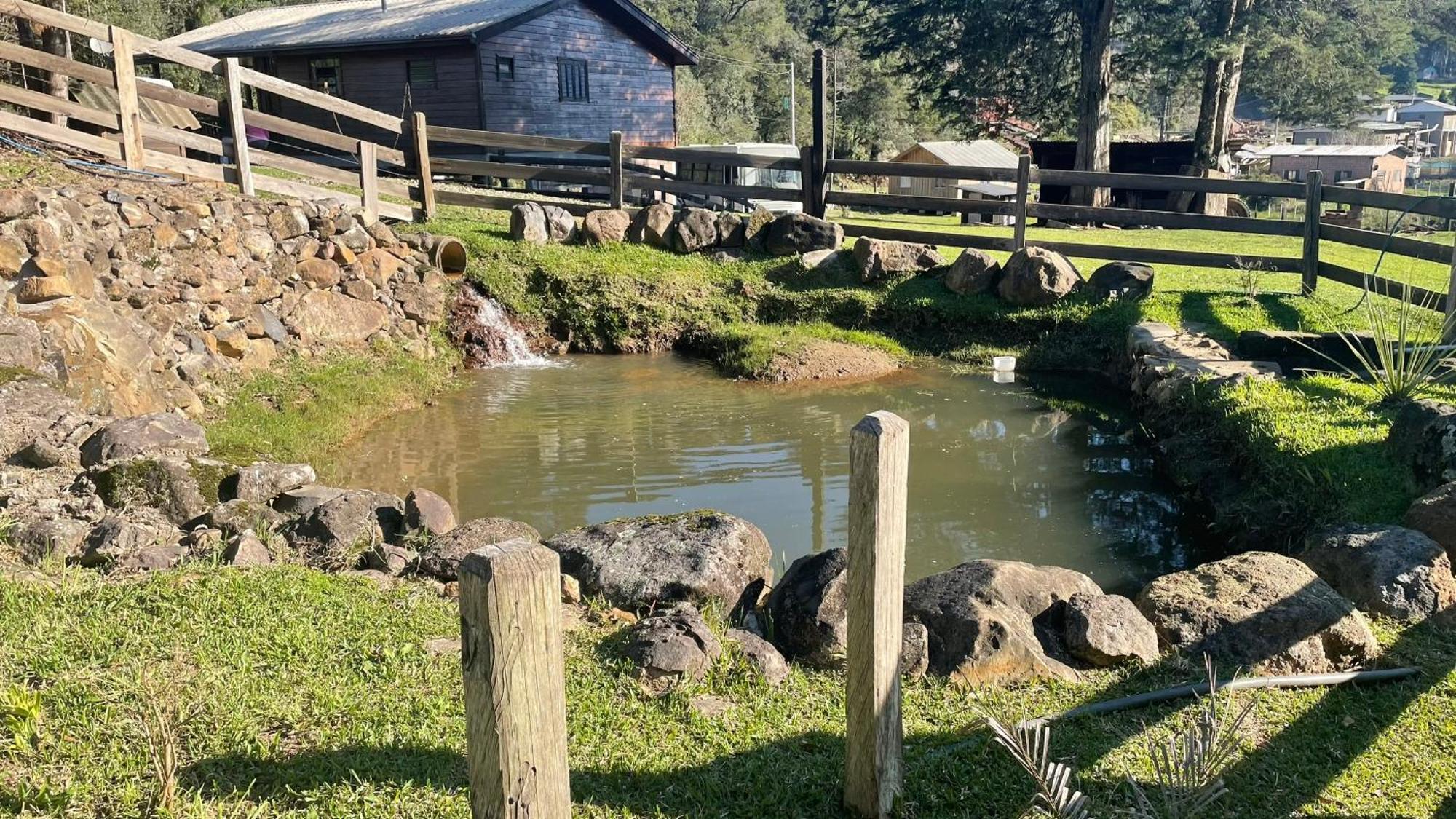 Leao Da Tribo De Juda Lodge Canela