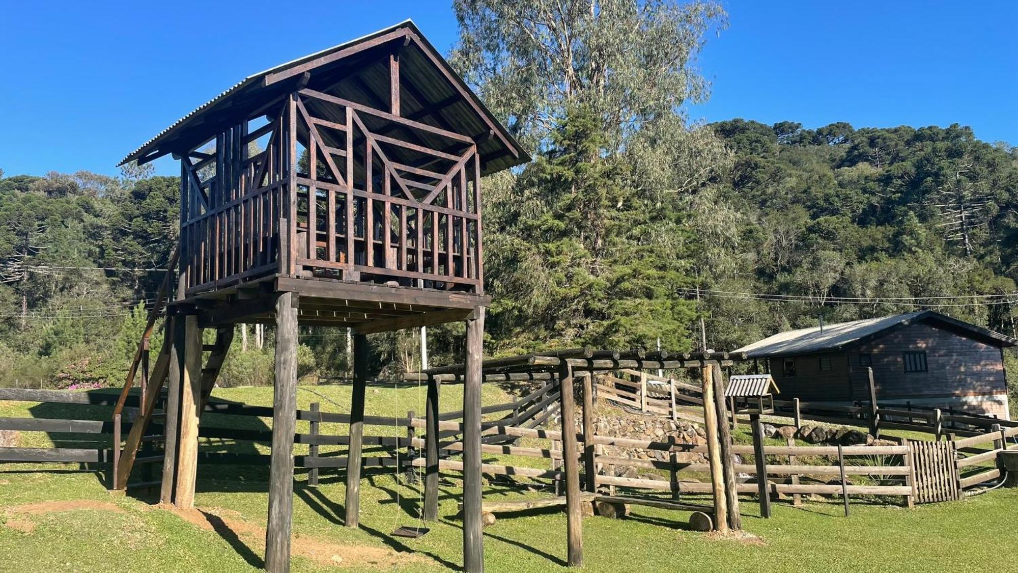 Lodge Leao Da Tribo De Juda Canela