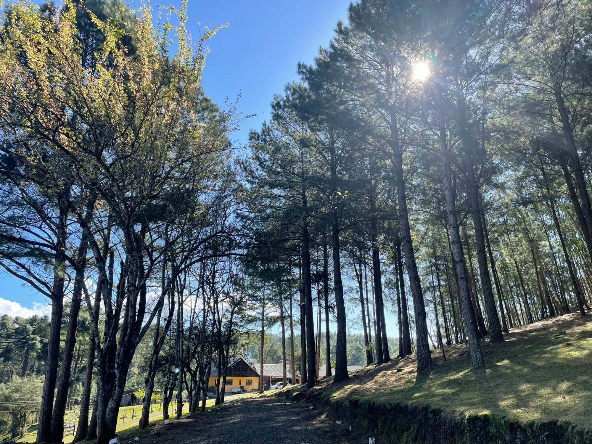 Lodge Leao Da Tribo De Juda *
