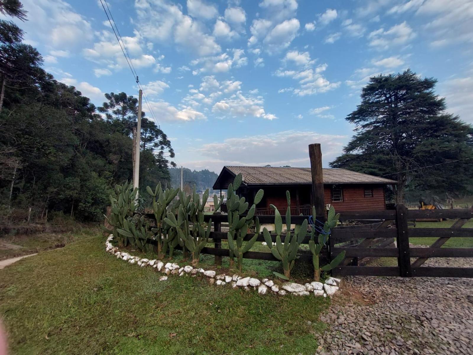 Lodge Leao Da Tribo De Juda