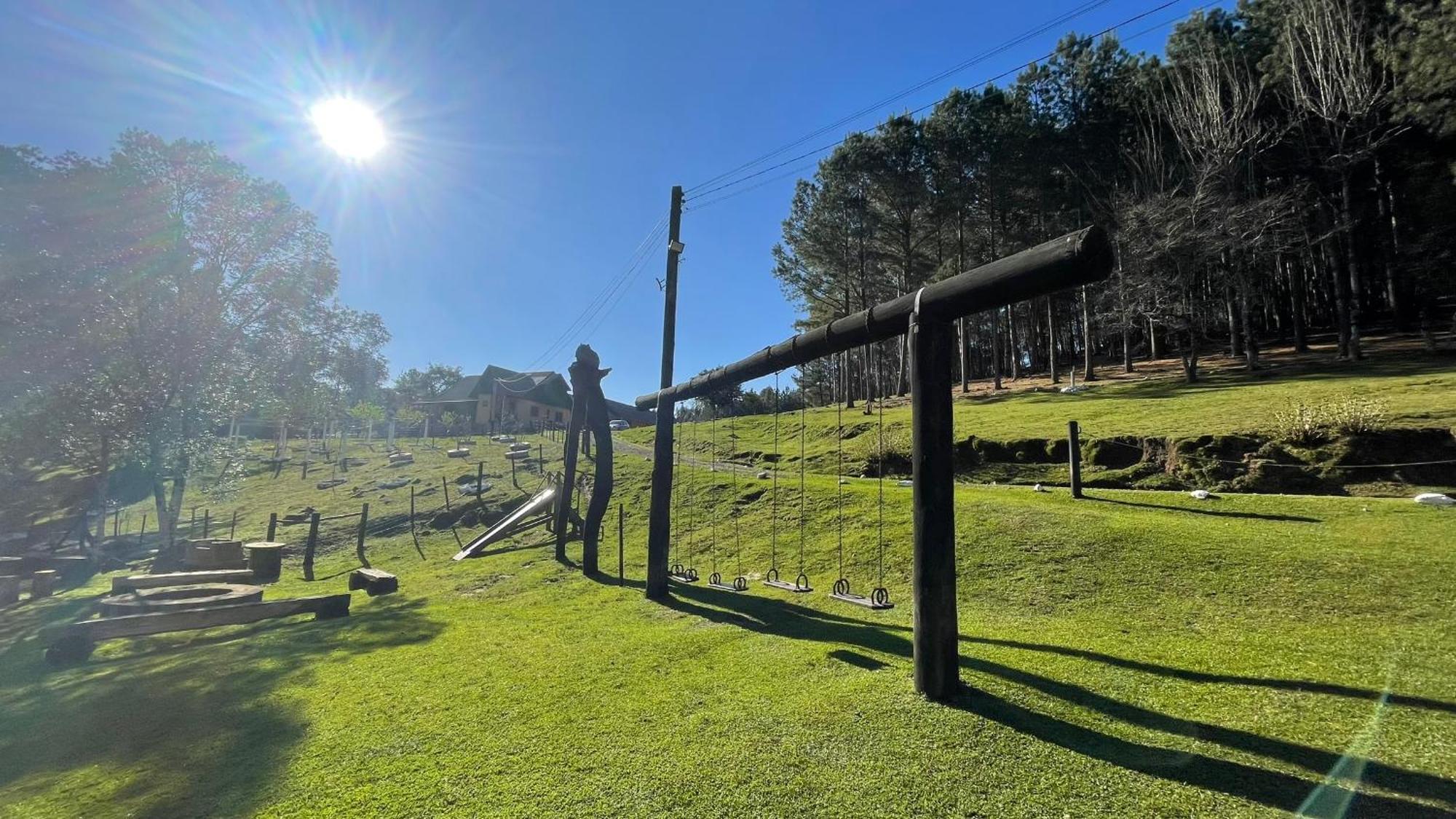 Leao Da Tribo De Juda Lodge Canela