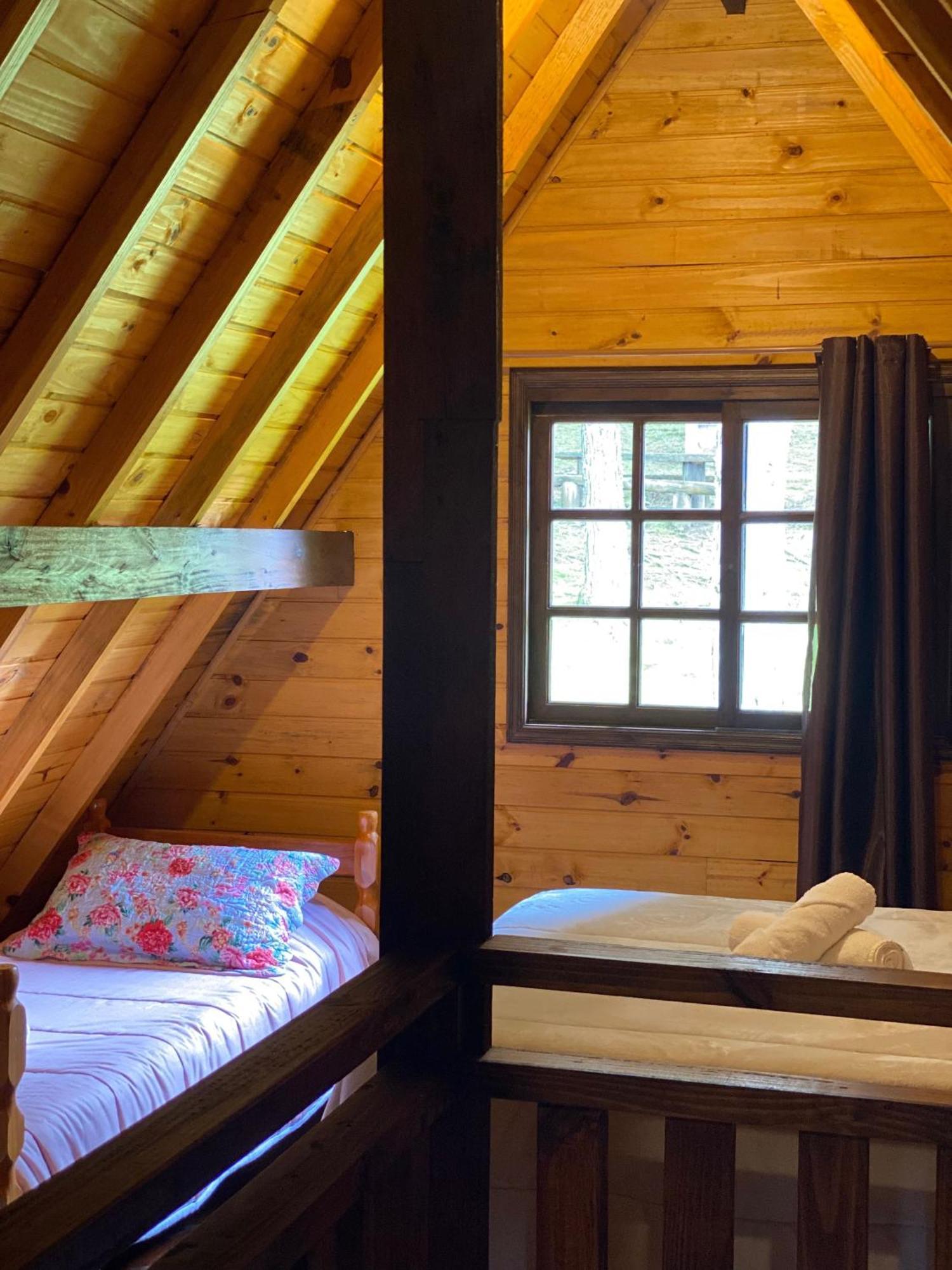 Lodge Leao Da Tribo De Juda
