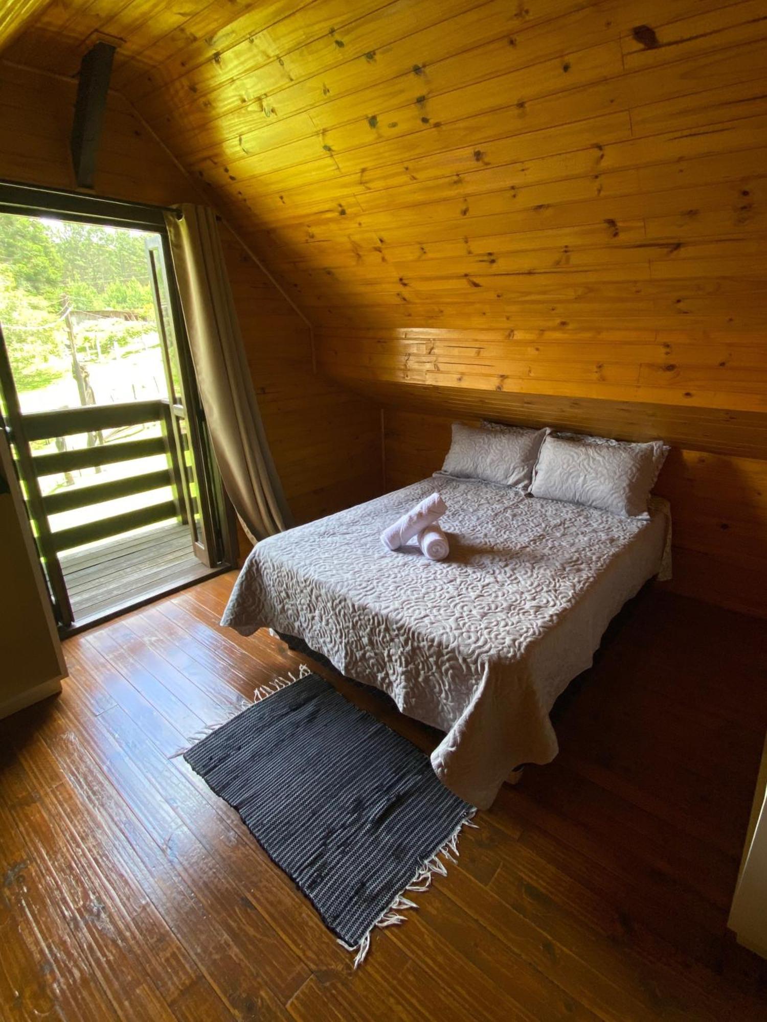 Leao Da Tribo De Juda Lodge Canela
