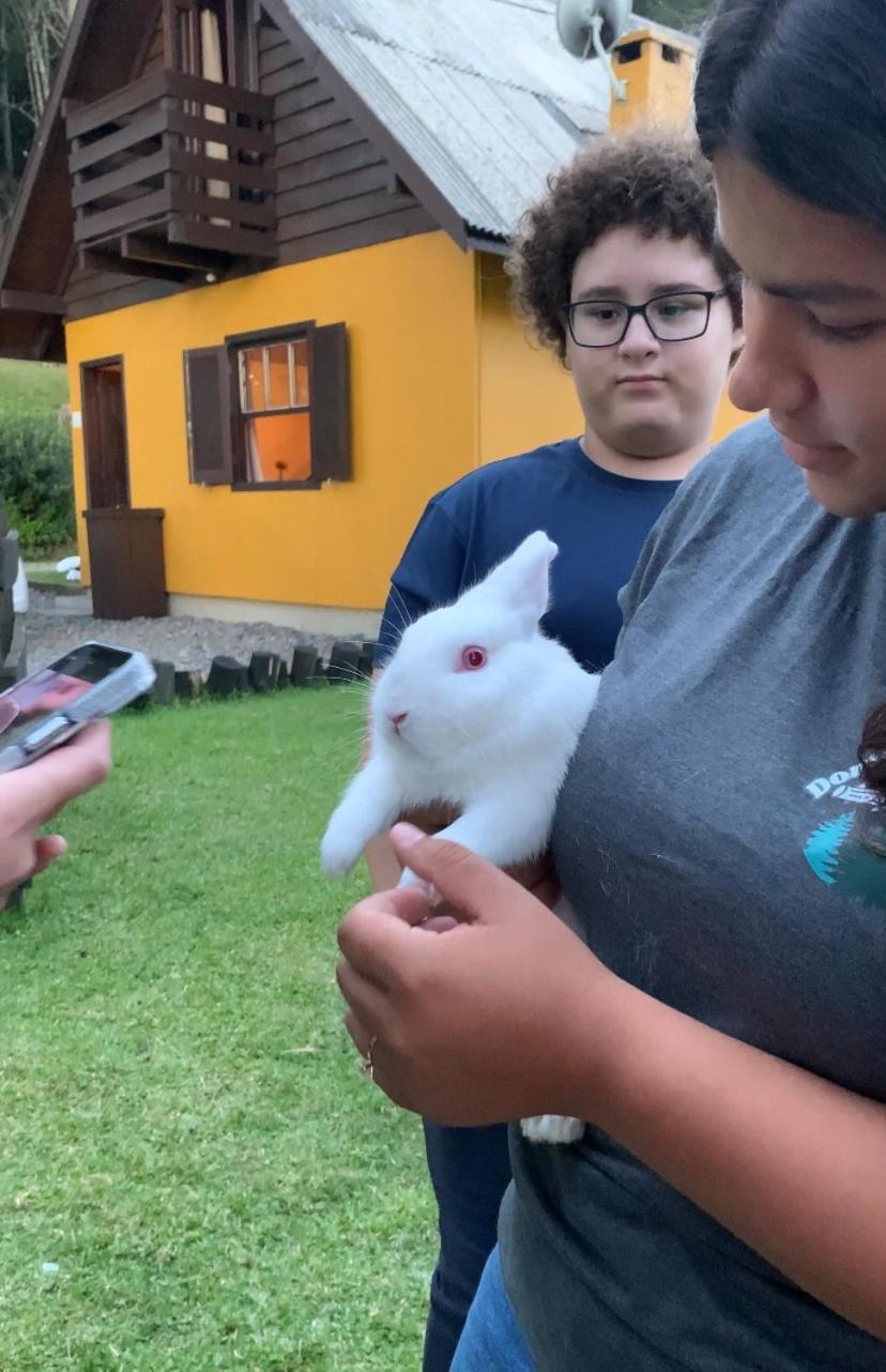 Leao Da Tribo De Juda Canela